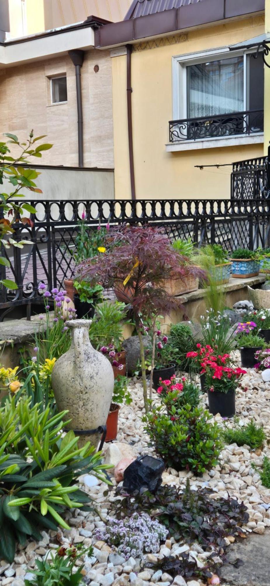 Luxury Private House In City Center Veliko Tărnovo Rum bild